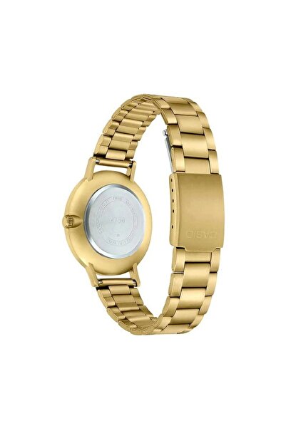 Casio Γυναικείο Ρολόι, Casio, Συλλογή LTP-VT LTP-VT01G-4B