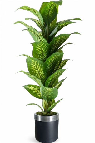 ERHAN FLOWERS ÇİÇEK & DEKORASYON Yapay Ağaç Difenbahya 170 cm siyah gümüş saksı