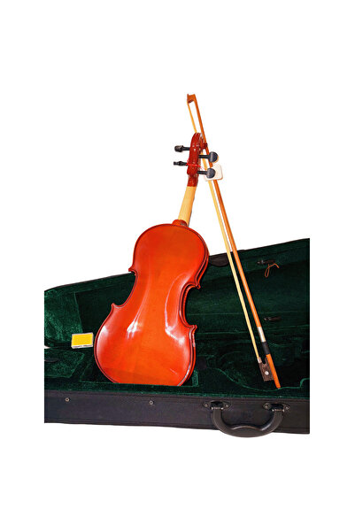 Parrot 4/4 violin with case and bow Parrot PU355