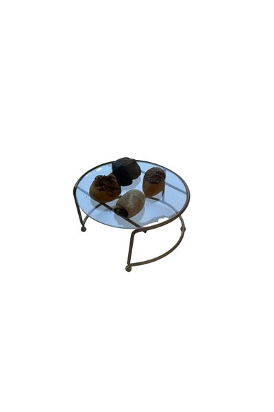 Edora Home Rose Small Size Presentation Stand Metal Gift Decoration Treat / Transparent Plexiglass / Stainless