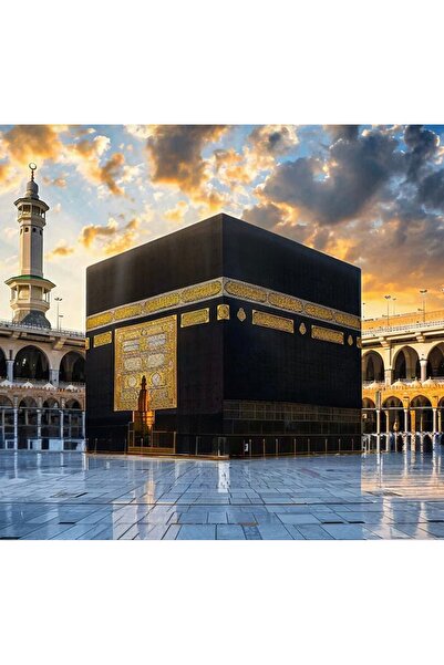 PRİME Concept Kabe sade Kanvas tablo