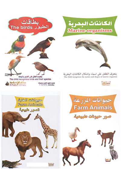 Educational مجموعة بطاقات 4 مجموعة