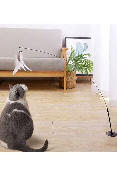 TaoTaoPets Automatic Interactive Cat Feather Toy,Floor-Standing Teaser Rod for Cats,Powerful Suction Cup