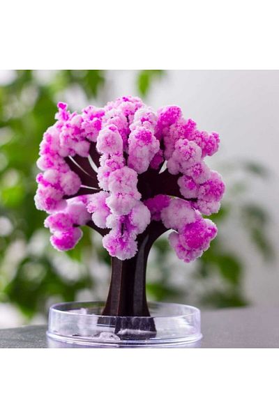 OEM Magic Sakura Tree, Bambinice, Pink