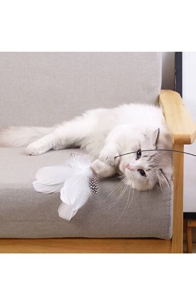TaoTaoPets Automatic Interactive Cat Feather Toy,Floor-Standing Teaser Rod for Cats,Powerful Suction Cup