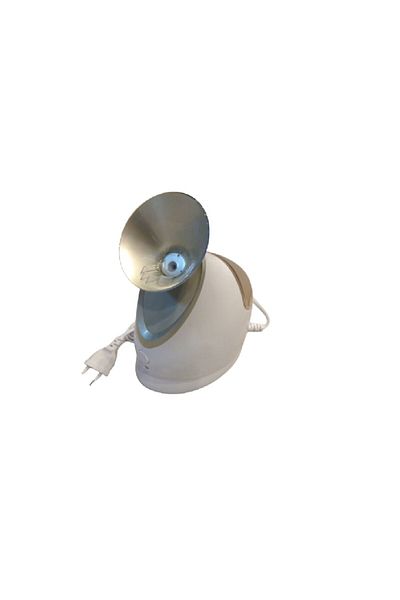Switch Facial sauna with nano ions to open pores