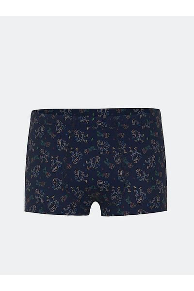 LC Waikiki Lcw Kids Boy Boxer 3 Pcs (S5)