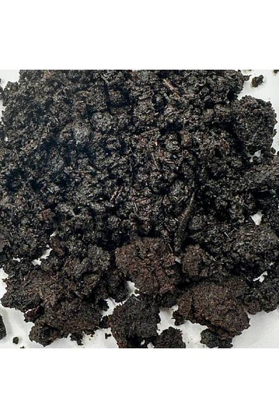 maysam 12 grams - small pieces of oud, ground and soaked in oud and rose