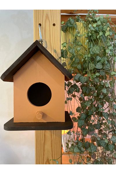 Cats&Kids Handmade Decorative Bird House – Cappuccino & Bitter Coffee