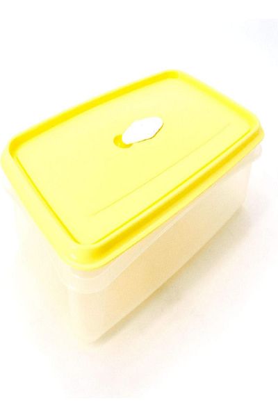 Rival Keep Fresh Box with Date Display, 2L – Smart Food Storage