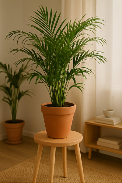 Home YUVARLAK AHŞAP TABURE HAM CİLASIZ