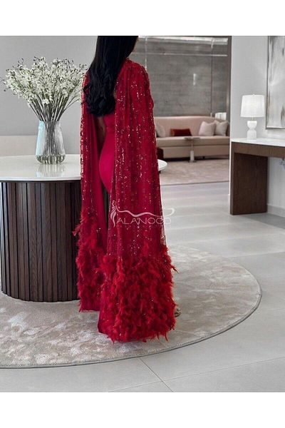 ALANOOD FASHION Luxury design three-color feather shawl evening dress