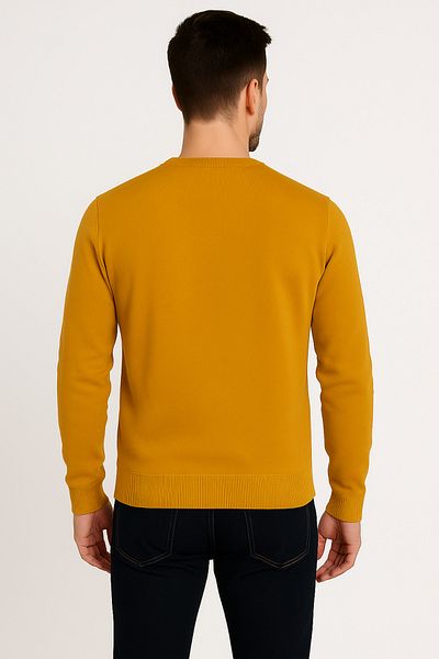GFT FASHION Men full sleeve Tshirt