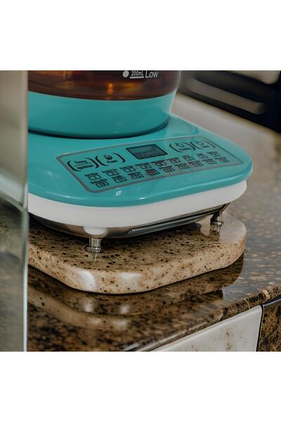 HTH Electric Kettle, Electric Tea Kettle Glass Boiler Hot Water Tea Heater with Temperature Control