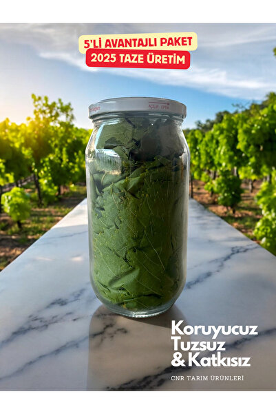 CNR Tarım Ürünleri Taze Kuru Basım Asma Yaprağı 5’li Avantajlı Paket