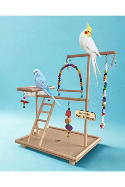 Paks Pet Kuş Oyun Parkı No:12 El Yapımı Ahşap Kuş Oyun Alanı , Premium Kuş Oy...