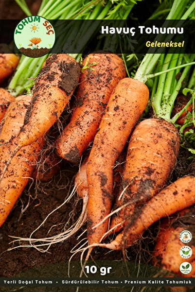 Tohum Seç Havuç Tohumu, Yerli Doğal Tohum, Takribi 7.500+ Adet Tohum, 10 gr