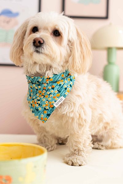 Lorico Dog Snap Fastener Patterned Scarf/Bandana