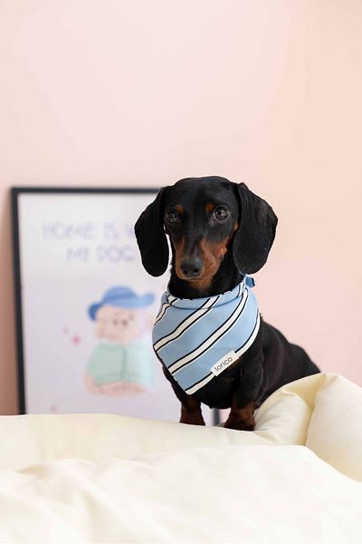 Lorico Dog Snap Fastener Patterned Scarf/Bandana