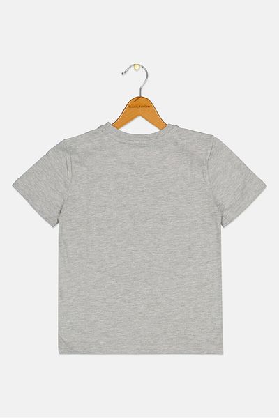 Dkny Kids Boy Crew Neck Short Sleeve Graphic Print T-Shirt, Heather Grey