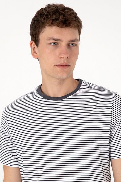 U.S. Polo Assn. Men's Regular Fit Crew Neck Black Striped T-Shirt 50306898-Vr046