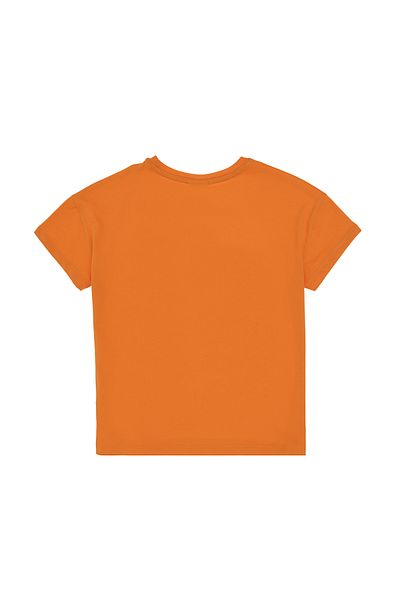 U.S. Polo Assn. Girl's Orange Crew Neck Printed Cotton T-Shirt 50306197-Vr051