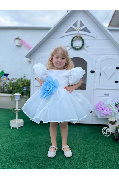 Linola Baby Kids Rose- Ecru Chiffon Short Sleeve Girl's Dress