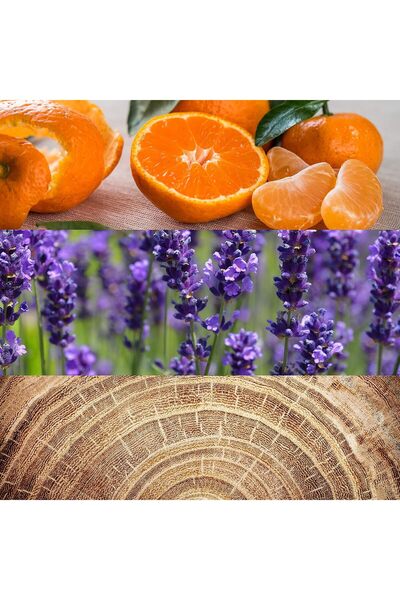 Calvin Klein Obsession Perfume for Men Eau De Toilette 200ML