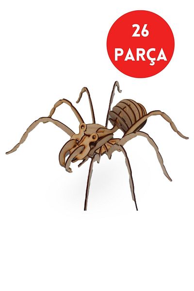 ALGWOOD 26 Piece Wooden Spider Model - Wooden Model with Spider Figure - Educational Installation Set