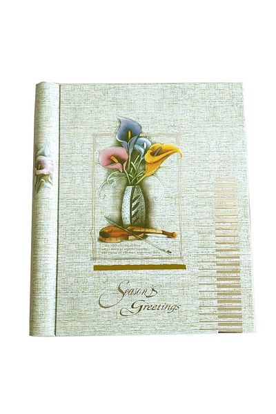 PUFO Album foto vioară, 40 pagini, 22,5 x 28 cm, crem