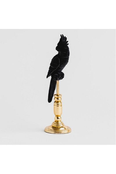 HomeVibes Figurină decorativă - Papagal Parottis Negru