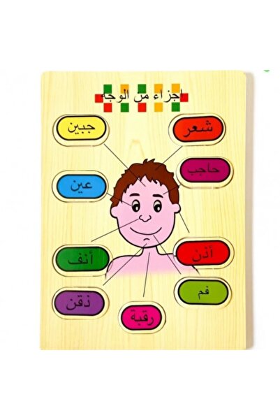 rexa Wooden Educational Board - Parts of the Face (Arabic) for Kids