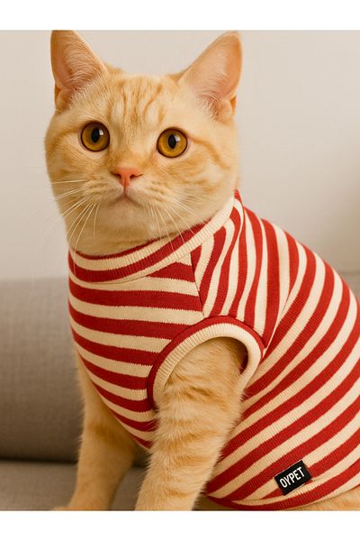 oyapet Cat Undershirt, Small-Medium Breed, Cat Clothing, Back Length 30 cm Size XS