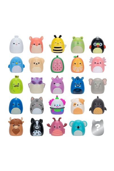 Squishmallows مجموعة اسفنجية طويلة 25 مجسم + حلقات السلسلة 1 AL0033