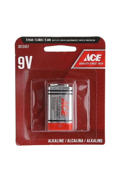 ACE Alkaline Battery (9 V)