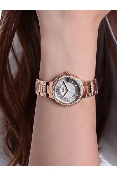 Fossil Ceas Dama, Fossil, Virginia ES3284