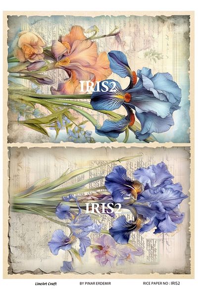 LİNEART Brass Decopaj Iris2