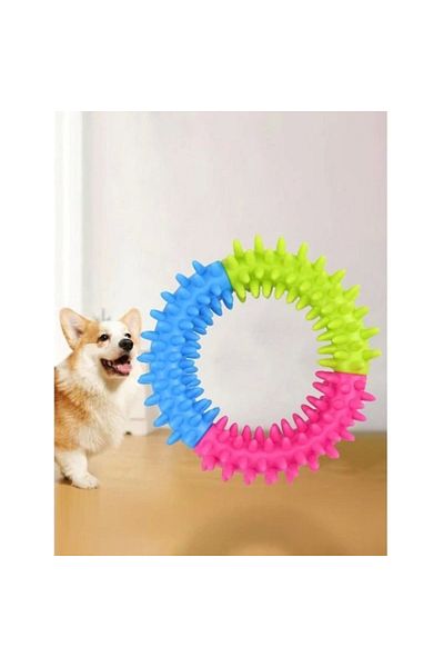 AC BOX Dog Biting Teeth Scratching Circle
