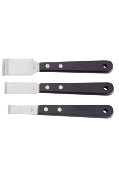 WORLDFORCE TOOLS Set de răzuitoare din oțel cu mâner din lemn, 3 bucăți