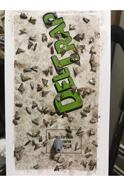 Delta Market Çift Etkili Güve Çözüm Seti: 2li Güve Feromonu 6lı Güve Yapışkan...