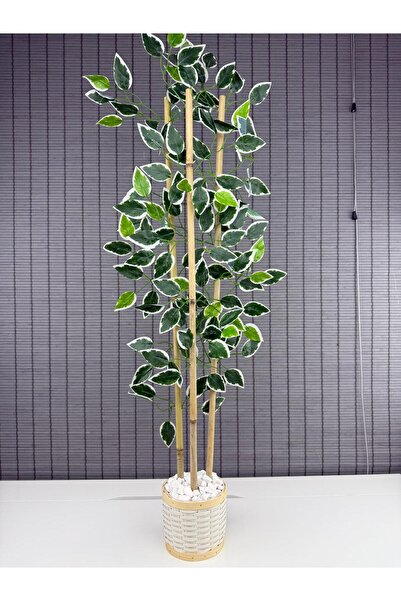 Bahçem Dekoratif Pwc Rattan Saksılı Ahsap Detaylı Yapay Yapraklı Dekoratif Benjamin Ağacı 3 Gövde 100cm