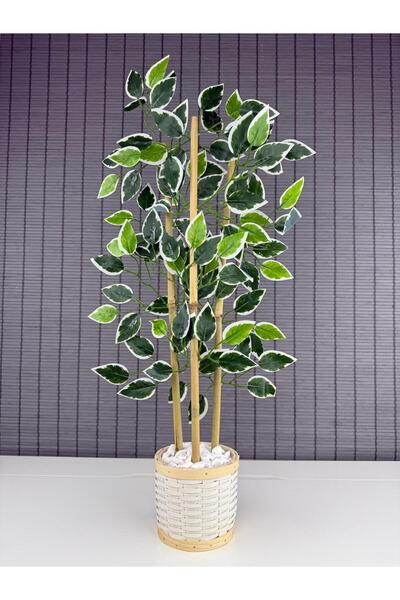 Bahçem Dekoratif Pwc Rattan Saksılı Ahsap Detaylı Yapay Yapraklı Dekoratif Benjamin Ağacı 3 Gövde 70cm
