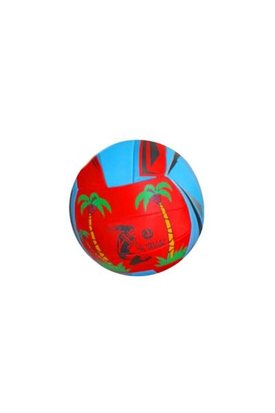 Art Tone Can Sport Volleyball (Inflation Required Product)