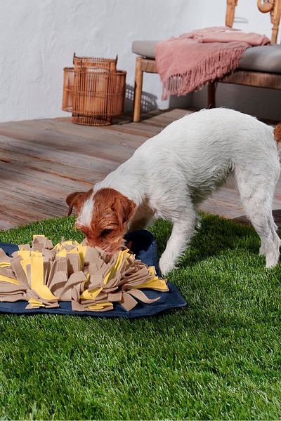 Tchibo Animal Sniffing Mat 40 x 40 cm, Navy