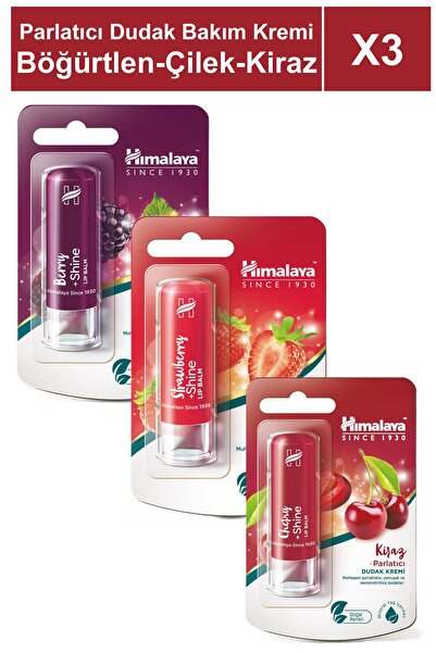 Himalaya Since 1930 Parlatıcı Dudak Bakım Kremi 4,5 gr 3 Adet | Böğürtlen, Çi...