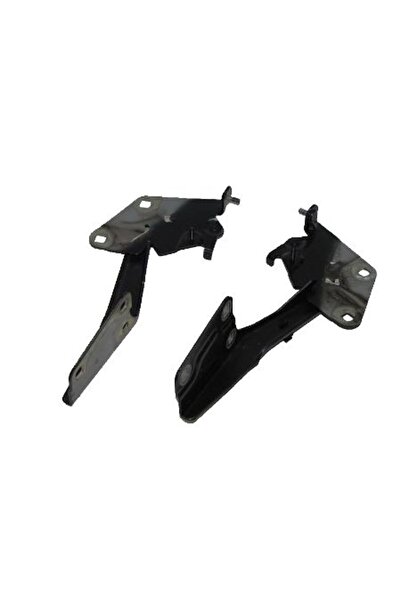 ALPER مفصلة غطاء المحرك الأيسر FLUENCE 2009>