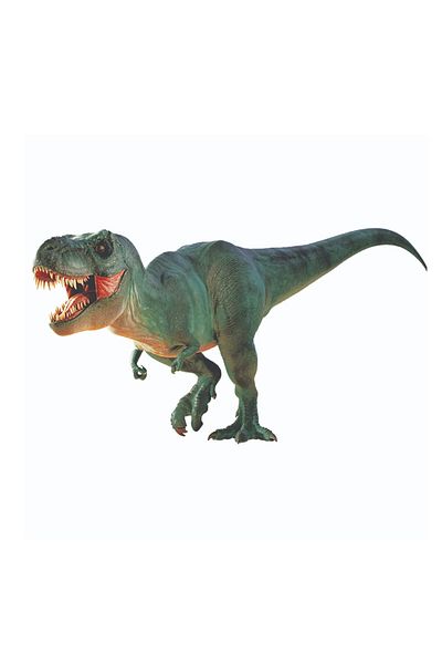 NATIONAL GEOGRAPHIC Dino Excavation Kit Trdino2