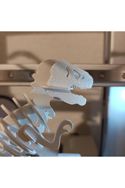 Mey3DDesign T-Rex İskelet Maketi, Beyaz, Eğitici, Eğlenceli, Karne Hediyesi, Masa ve Ofis Biblosu