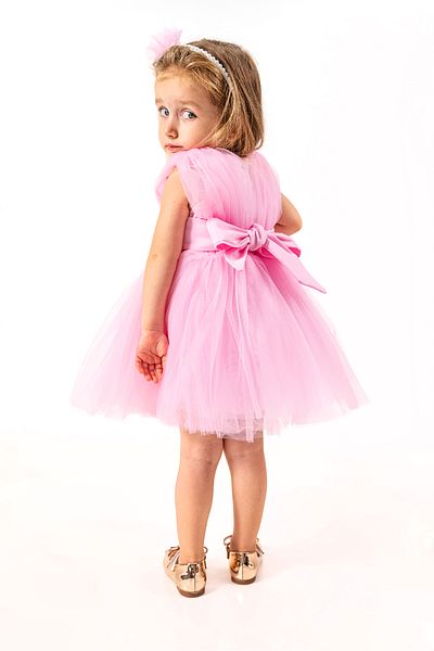Baby Animals Baby Girl Girl Kid Birthday Party Wedding Dress Sleeveless Crowned Ruffled Tulle Tutu Tutu with Lining