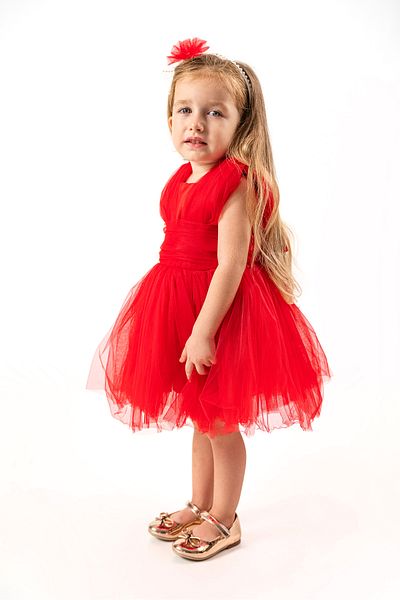 Baby Animals Baby Girl Girl Kid Birthday Party Wedding Dress Sleeveless Crowned Ruffled Tulle Tutu Tutu with Lining